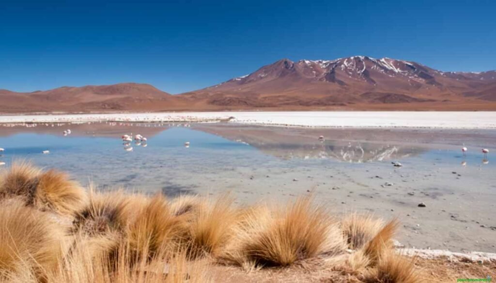 Hoteles en San Pedro de Atacama